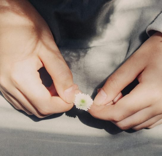 pexels-timegrocery-2001102